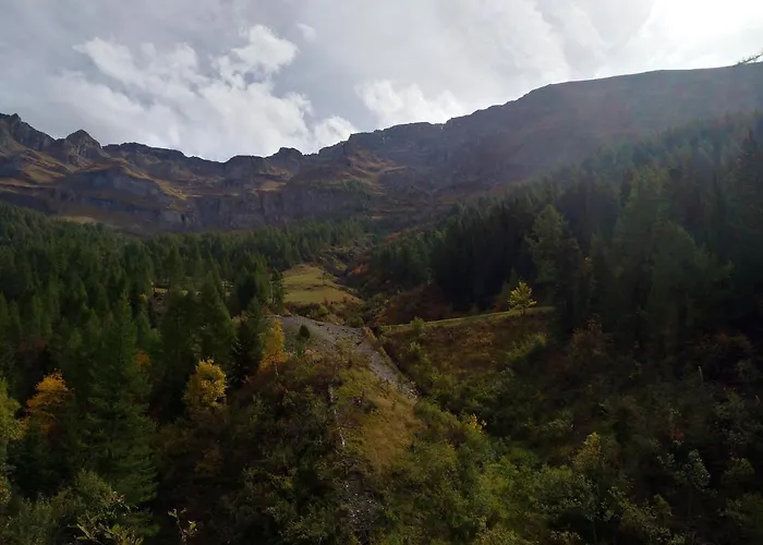 Waldrand Appartement *